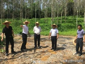 惠州市農(nóng)業(yè)農(nóng)村局副局長李冠源到龍門縣現(xiàn)場督查中央環(huán)保督察整改任務(wù)落實情況