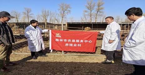 榆林市農業農村局_ 榆林市農墾服務中心全力做好墾區養殖業服務工作