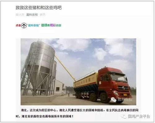 飼料告急！湖北龍頭養雞企業僅剩3天庫存，畜牧業協會緊急呼吁救急