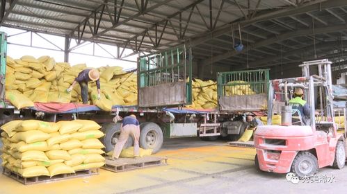 浠水海大飼料 以產品為舵，服務為帆，護航養殖業發展