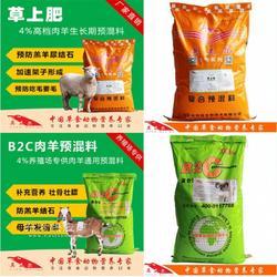 羊吃什么飼料長得快？科學養羊飼料指南